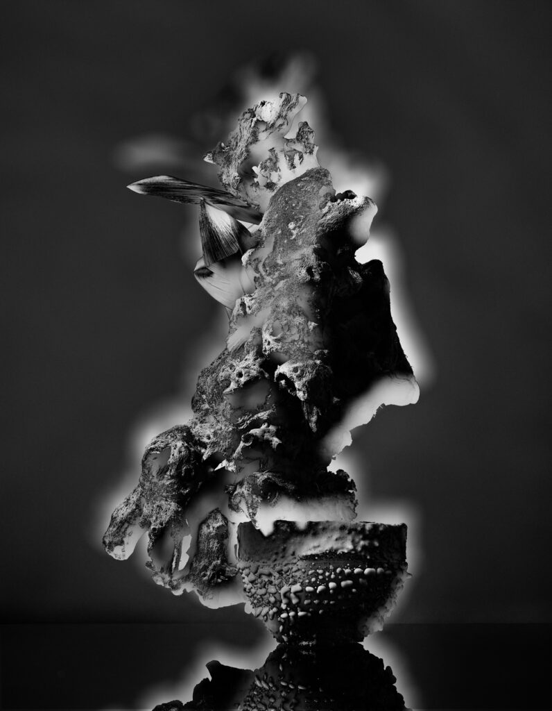 アーティチョーク | Artichoke