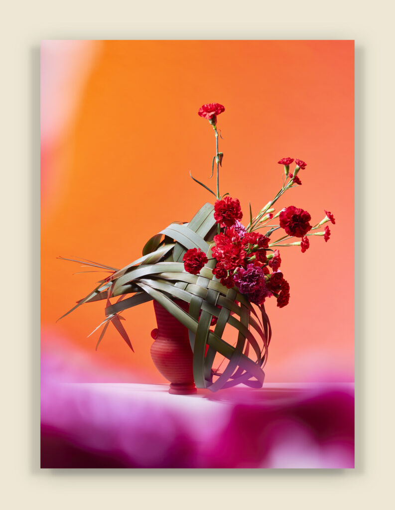 麝香撫子 | Carnation