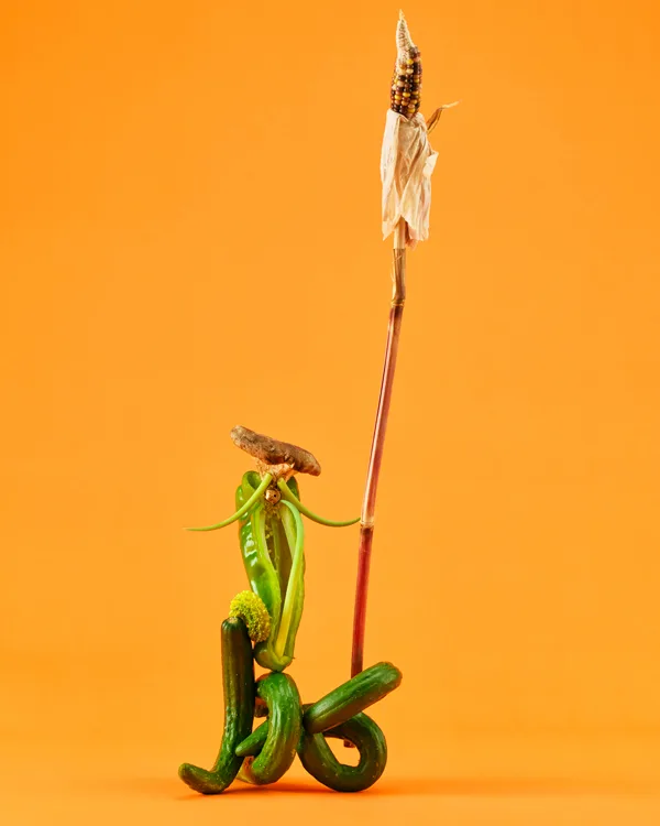 甘唐辛子 | Piman