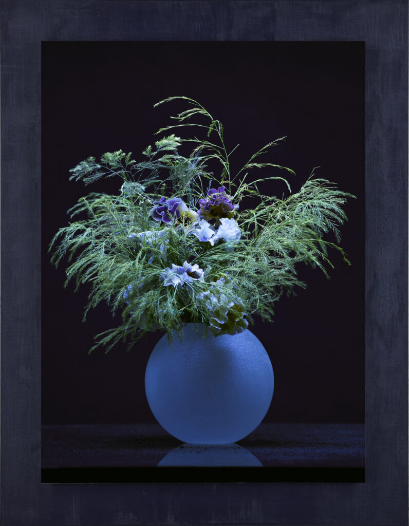 三色菫 | Pansy